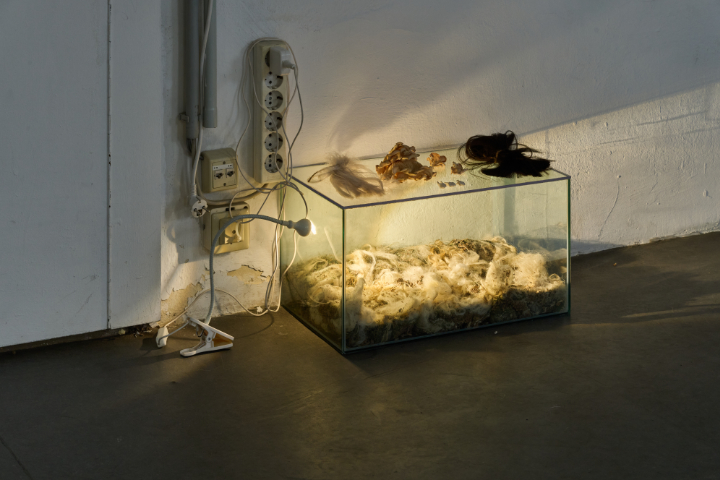 "Evocation of Absent Landscapes": Detailaufnahme. Die Erde kann schnell kaputt gehen. Nicht nur im Laborraum. © Markus Gradwohl Bosse2